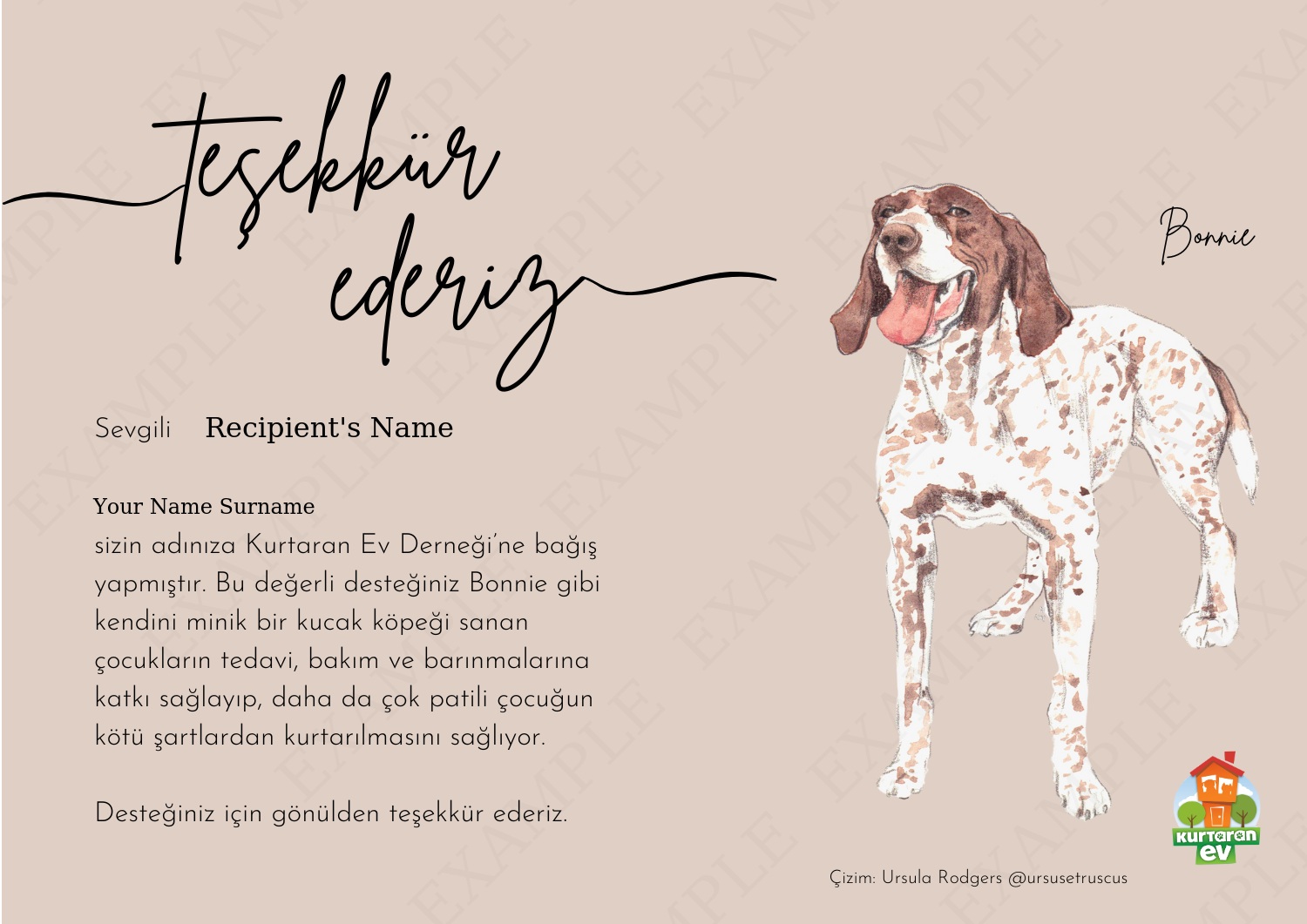 Kurtaran Ev Çocuklarına Destek - Bonnie