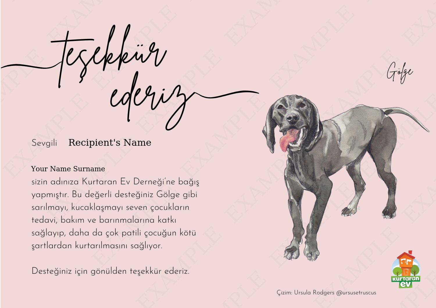 Kurtaran Ev Çocuklarına Destek - Gölge