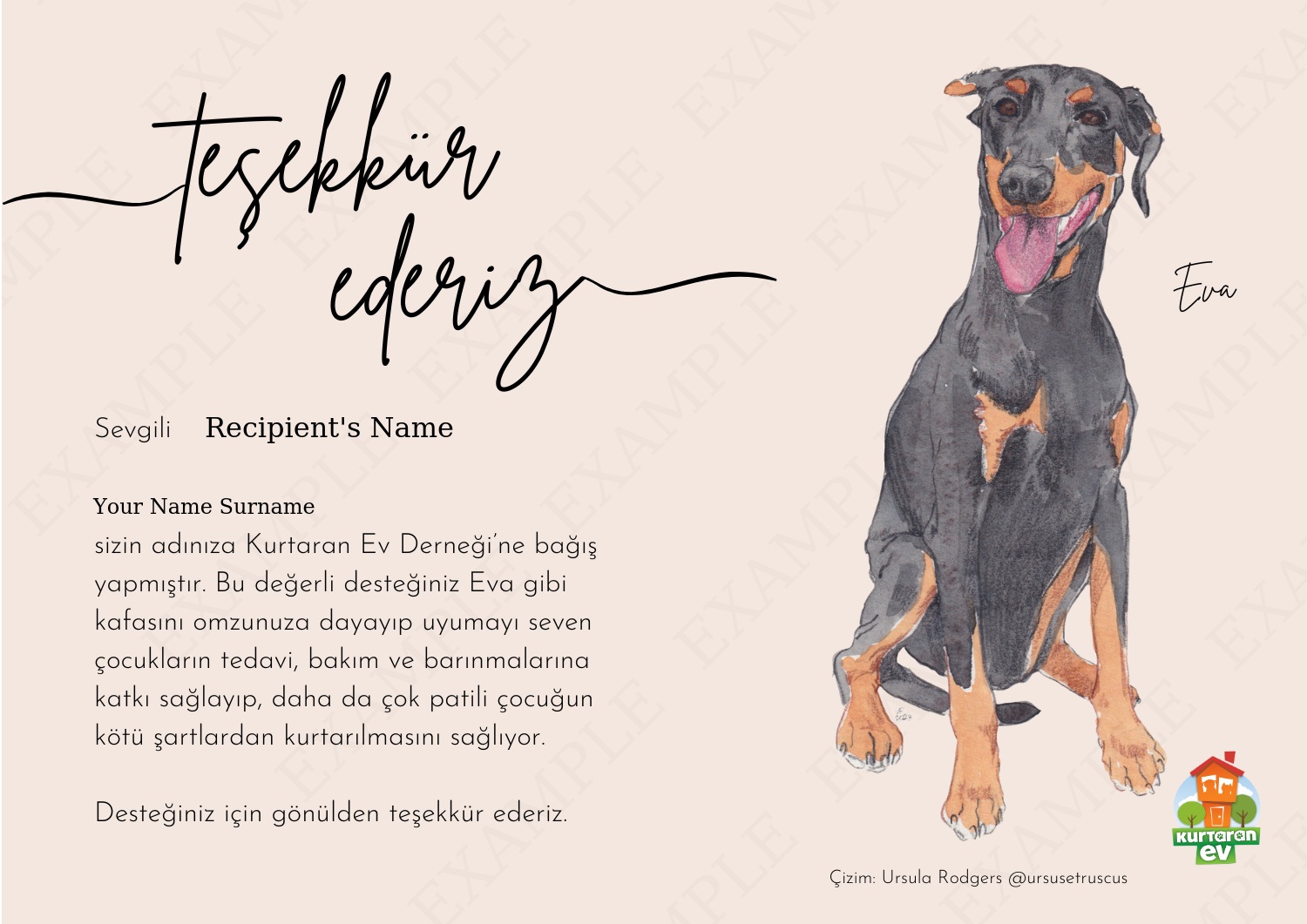 Kurtaran Ev Çocuklarına Destek - Eva