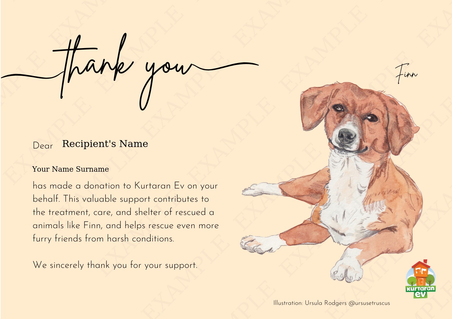 Kurtaran Ev Çocuklarına Destek - Finn [ENGLISH]