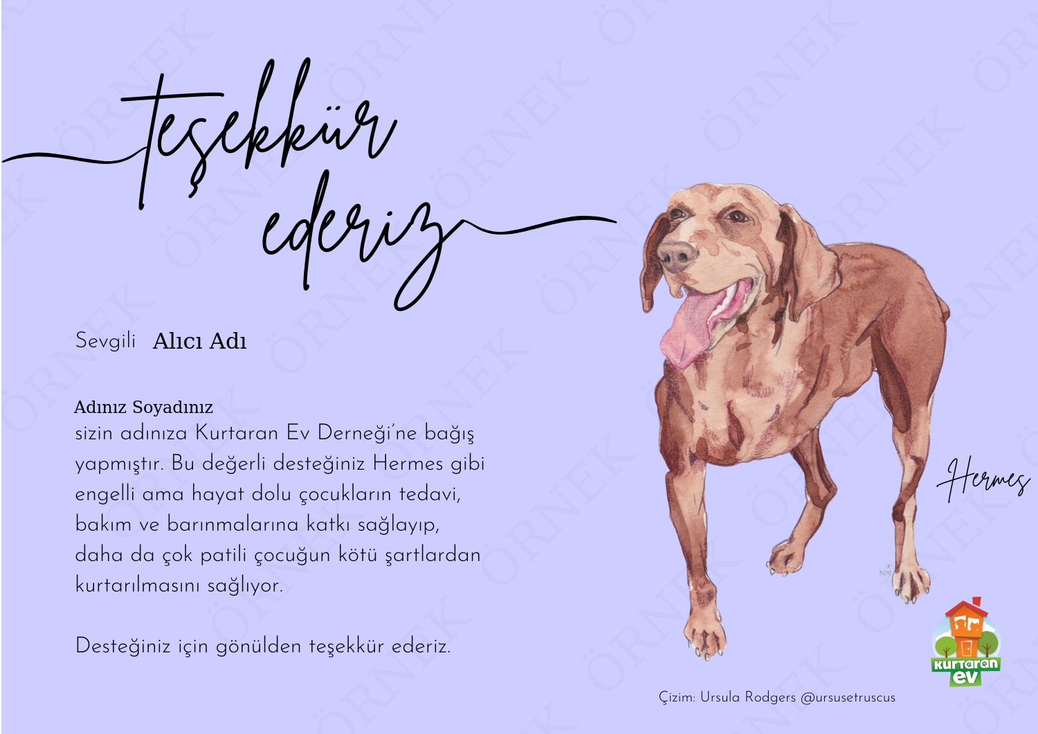 Kurtaran Ev Çocuklarına Destek - Hermes