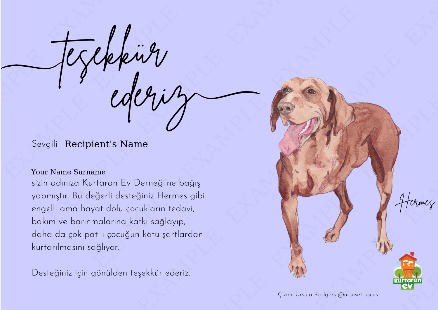 Kurtaran Ev Çocuklarına Destek - Hermes