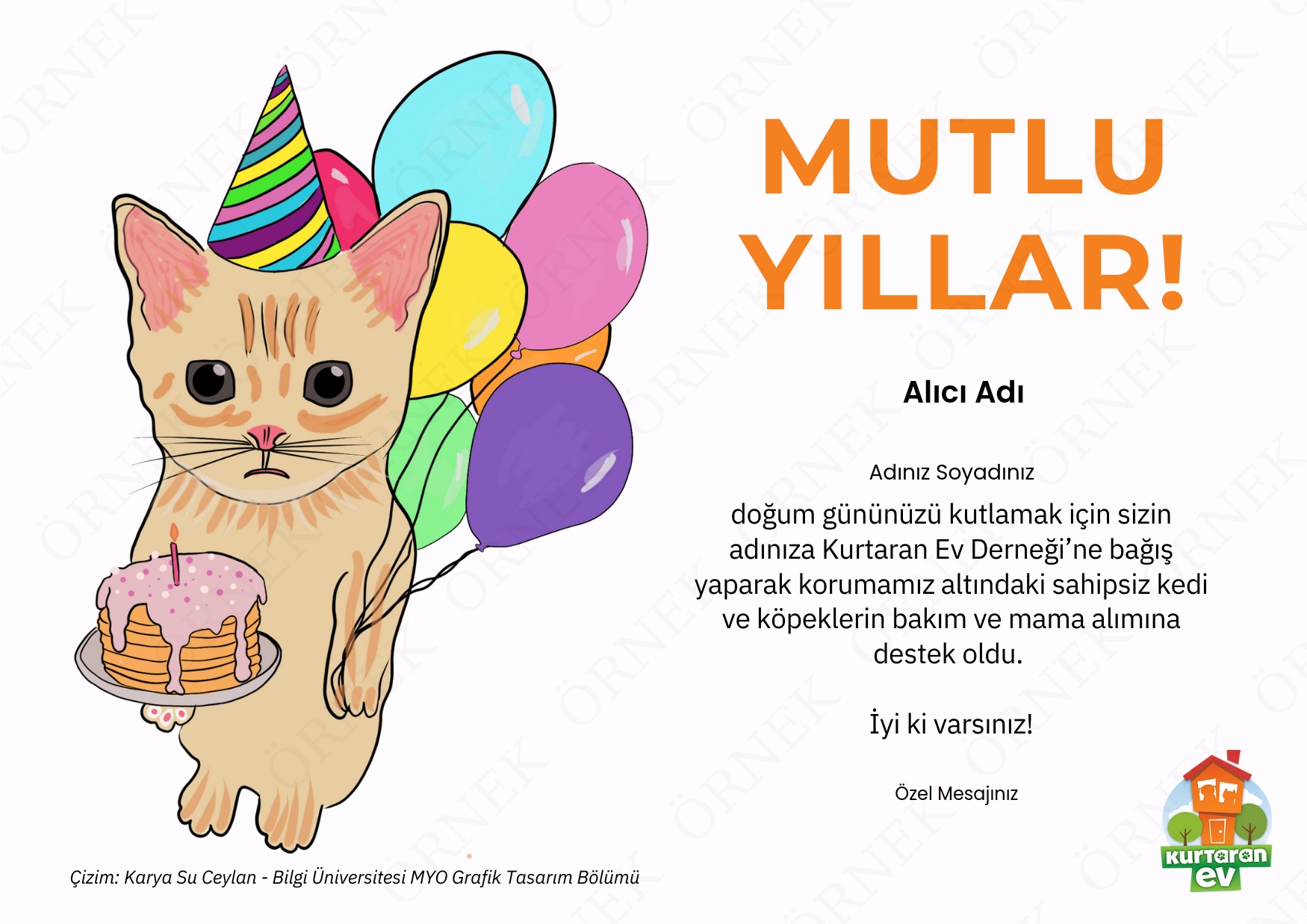 Doğum Günü 11