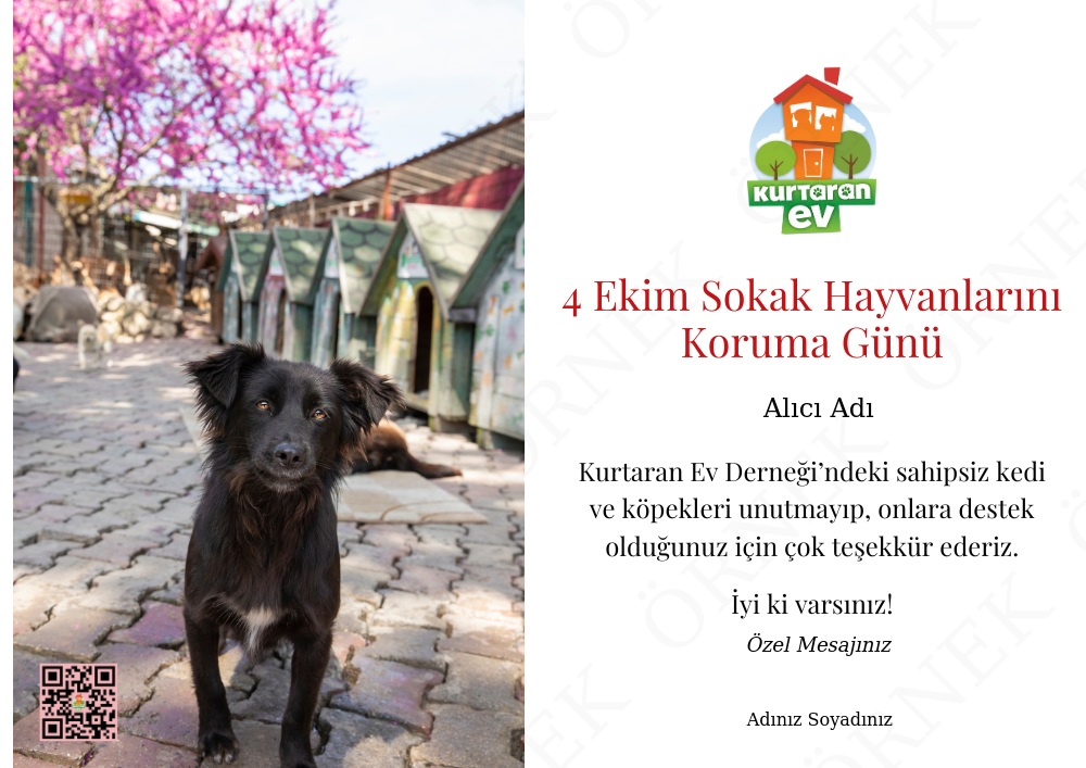 4 Ekim Hayvanları Koruma Günü