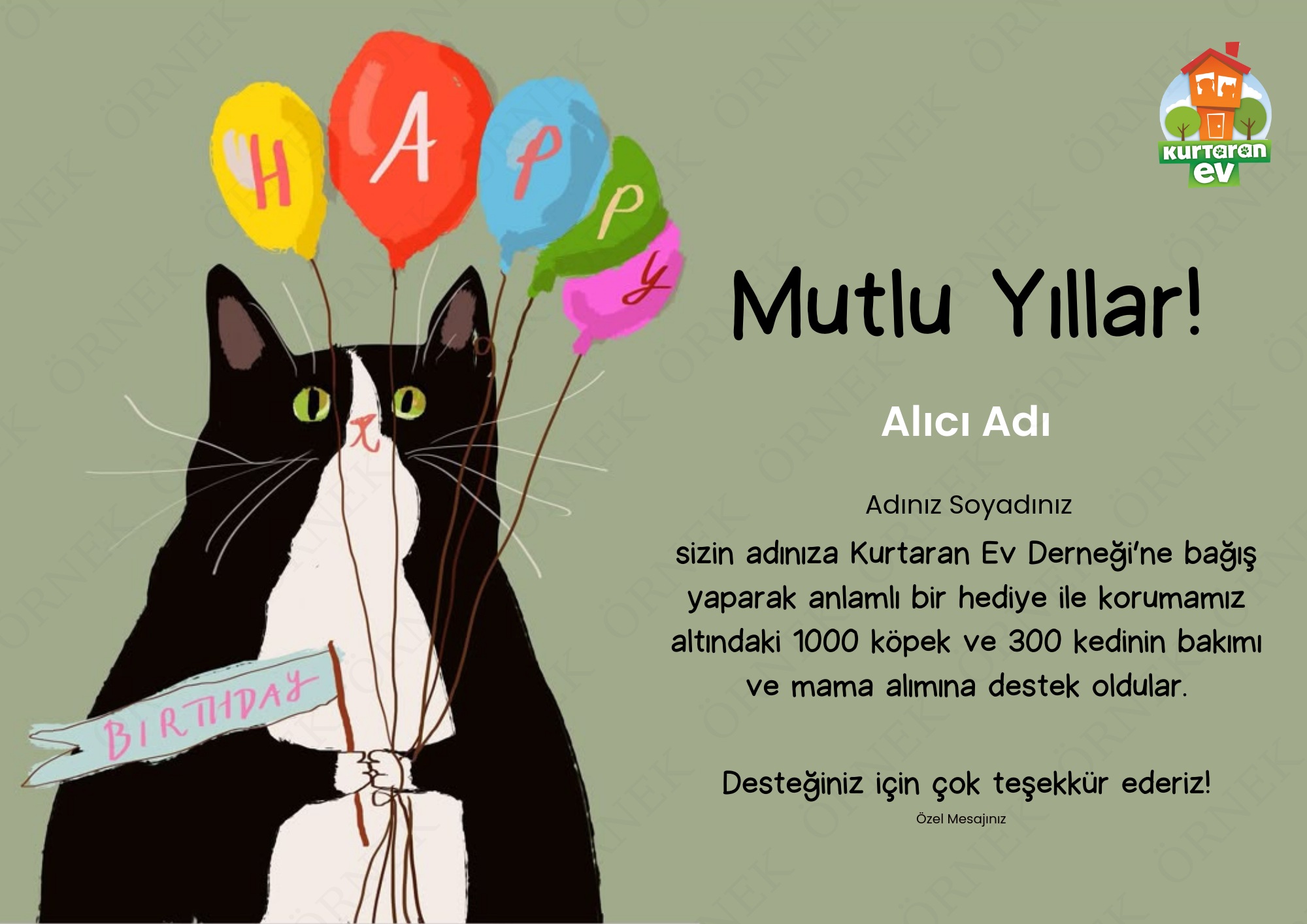 Doğum Günü - Kedili 1