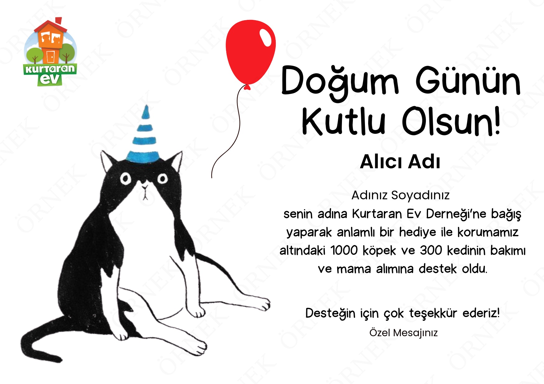 Doğum Günü - Kedili 2