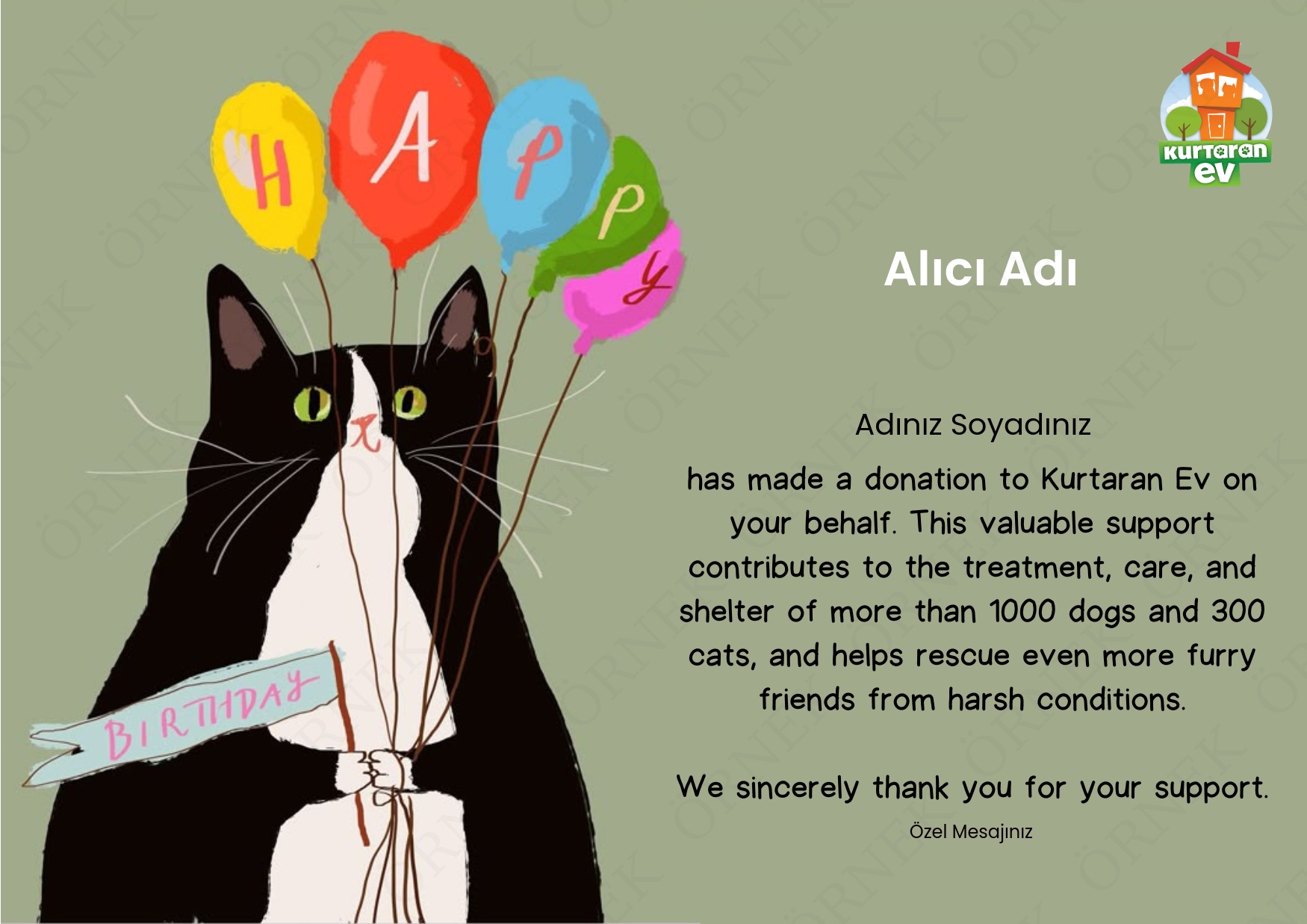 Happy Birthday - Cat [ENG]