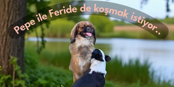 Donation page image