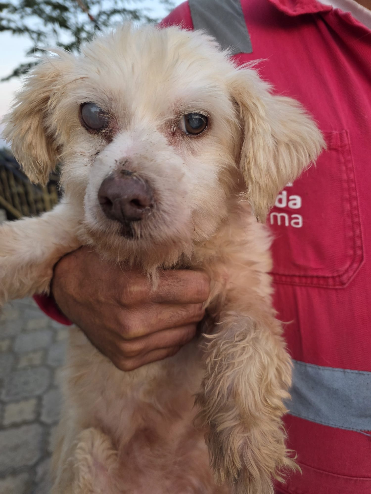 Çınar’a ışık ol ✨