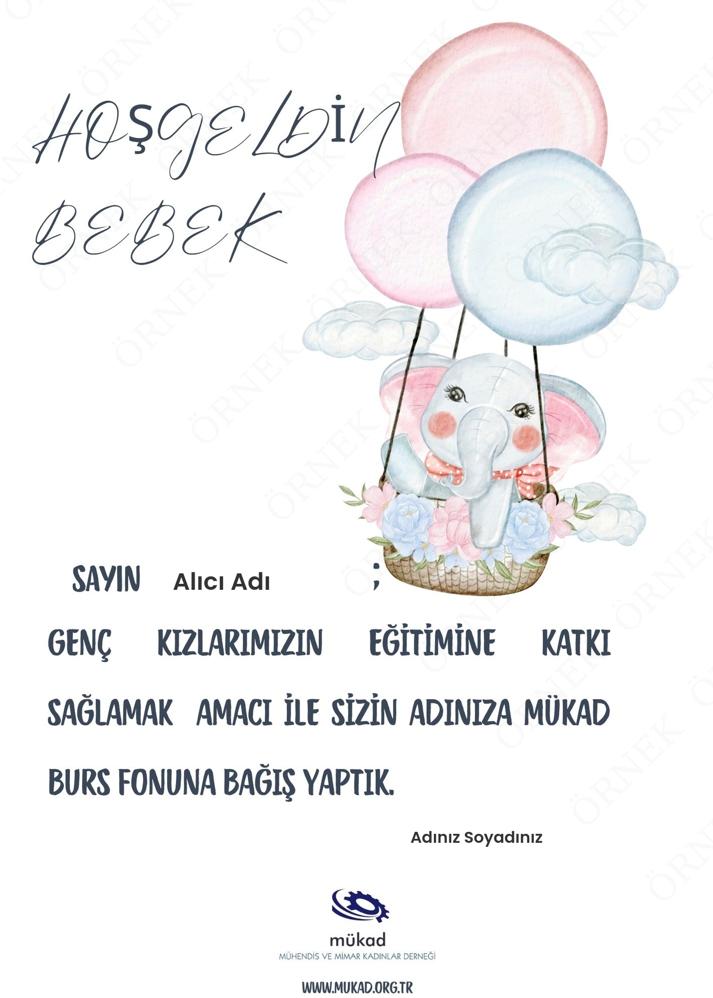 HOŞGELDİN BEBEK KART 2