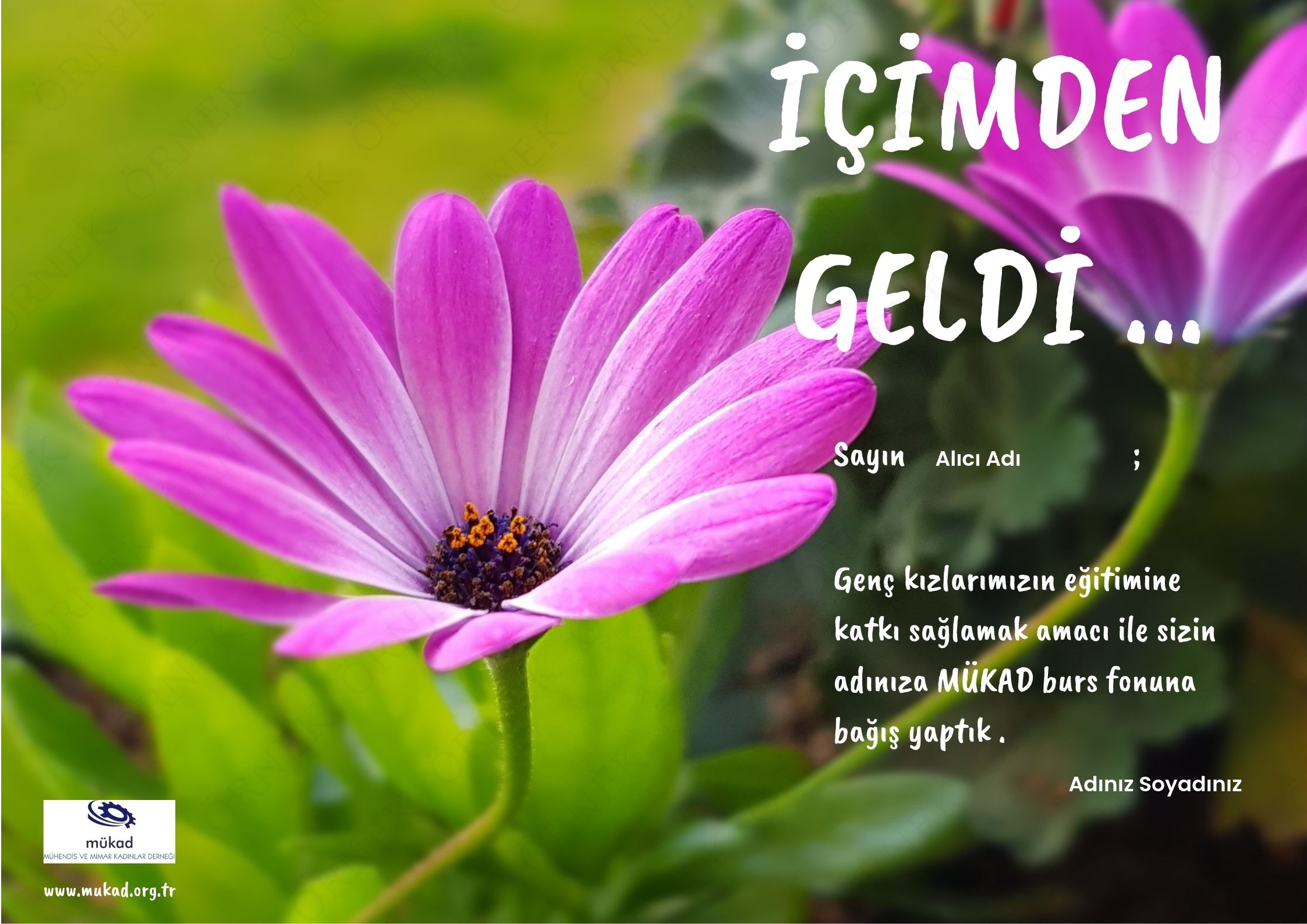 İÇİMDEN GELDİ KART 2