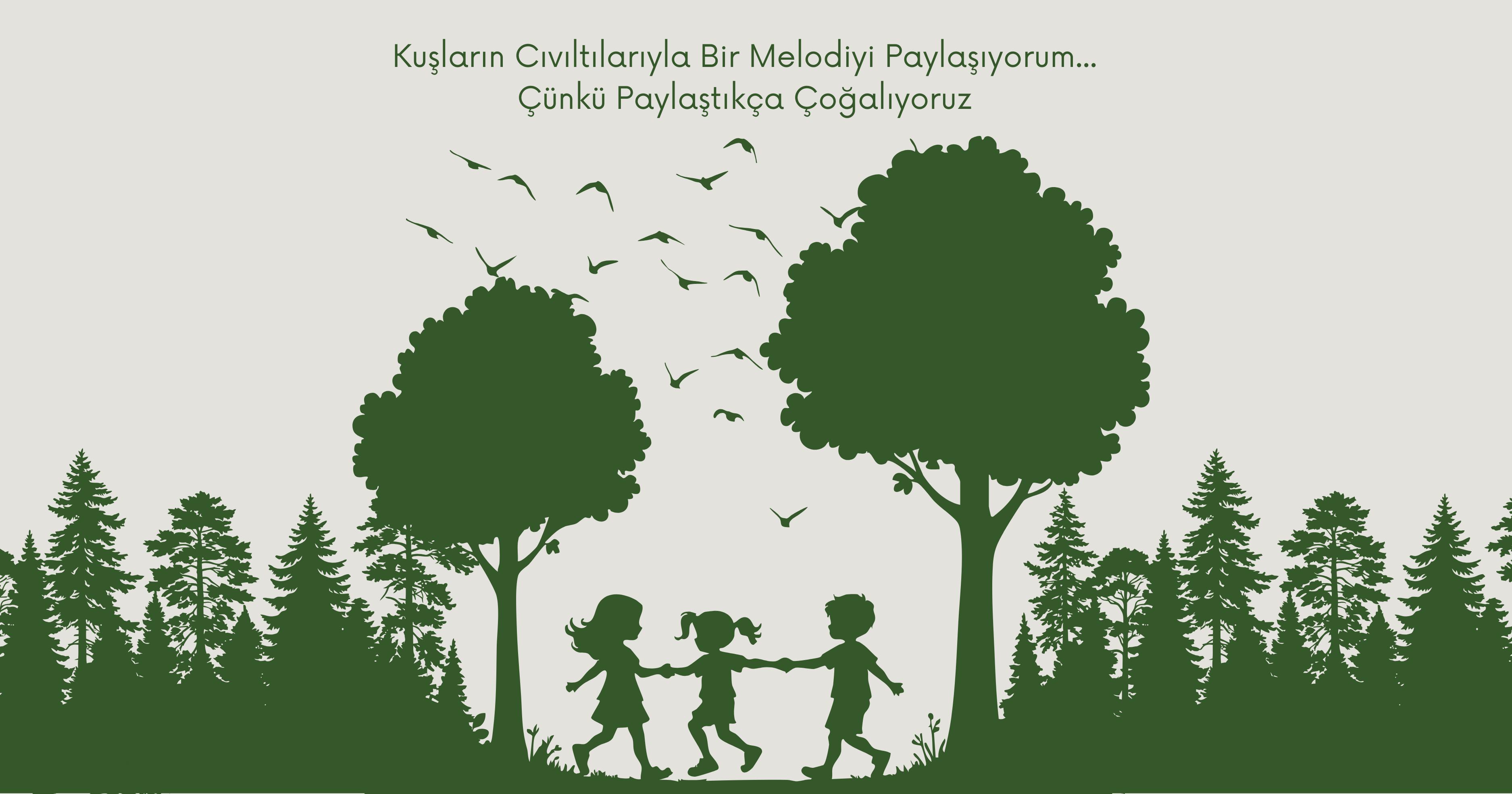 Ormanda kuşların sesi