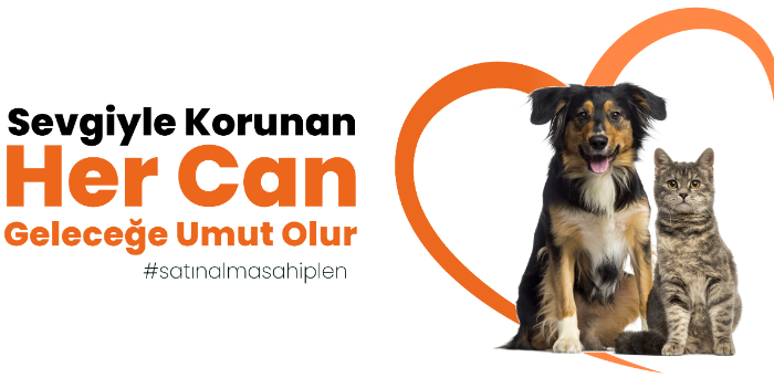 Donation page image