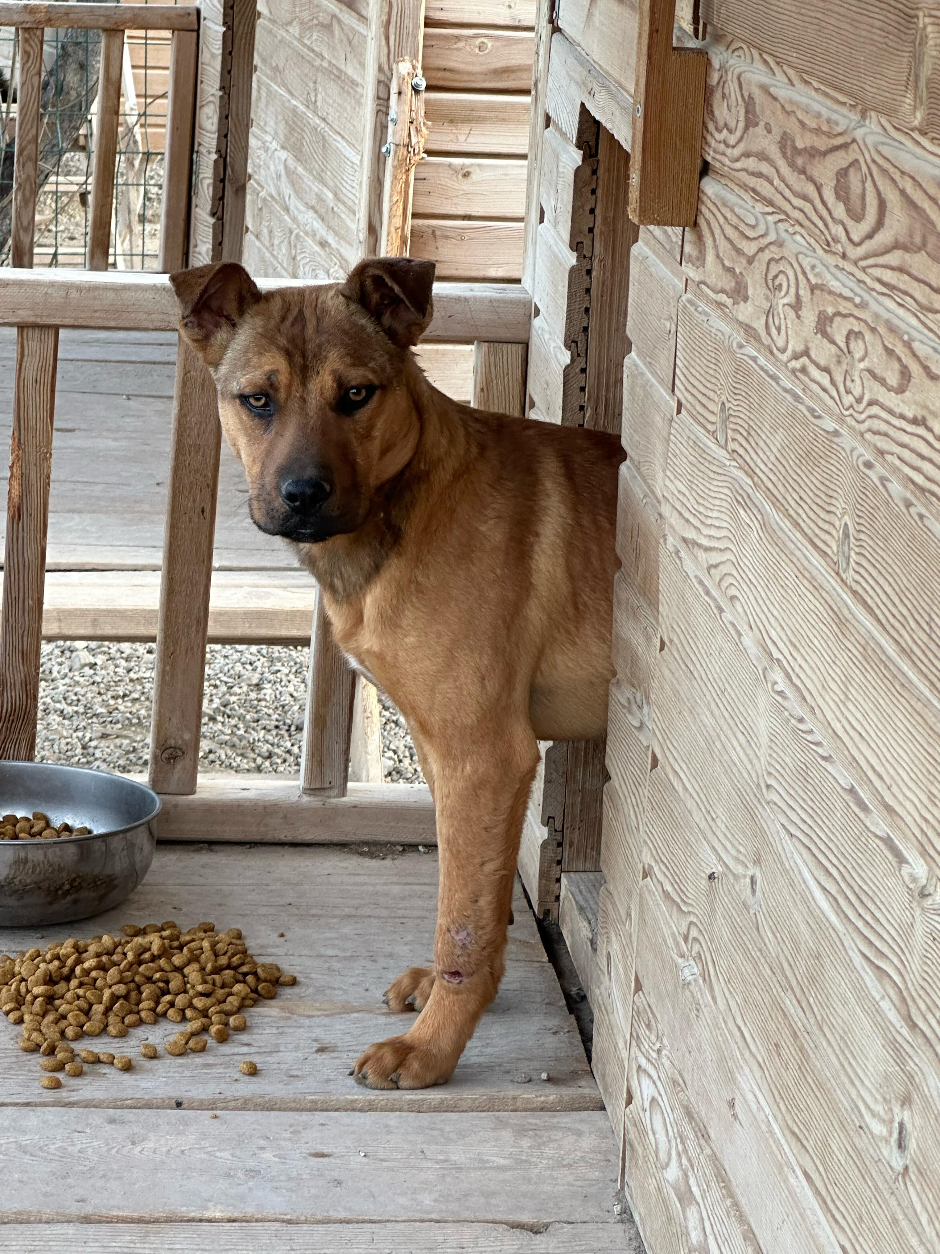 Mama Borçlarımız için Kampanya (ACİL)