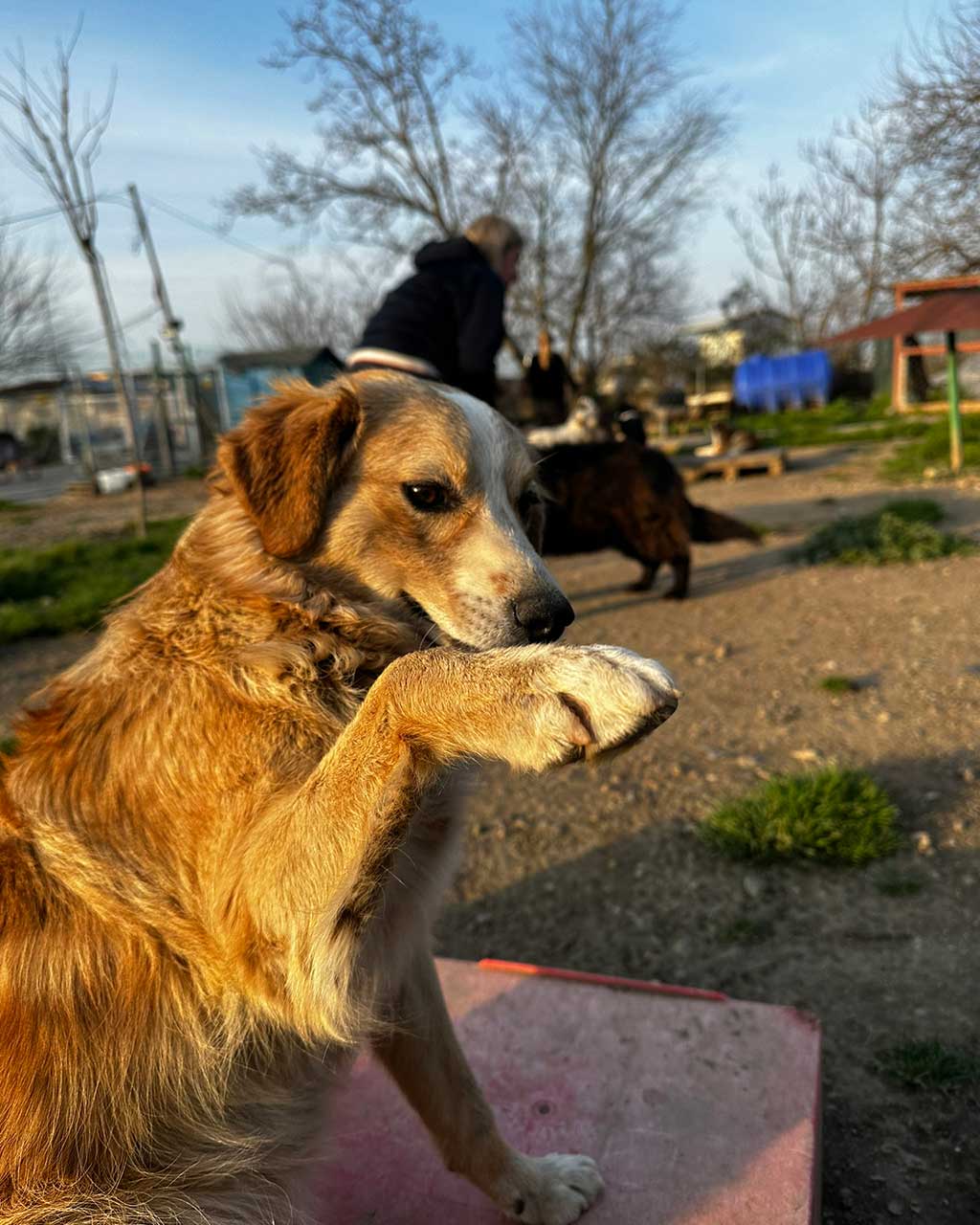Eylül Ayı Destek