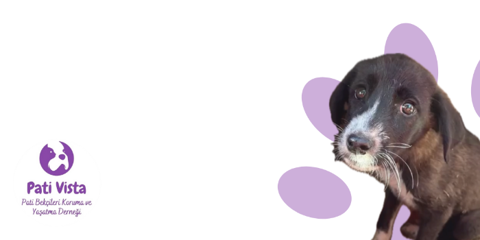 Donation page image