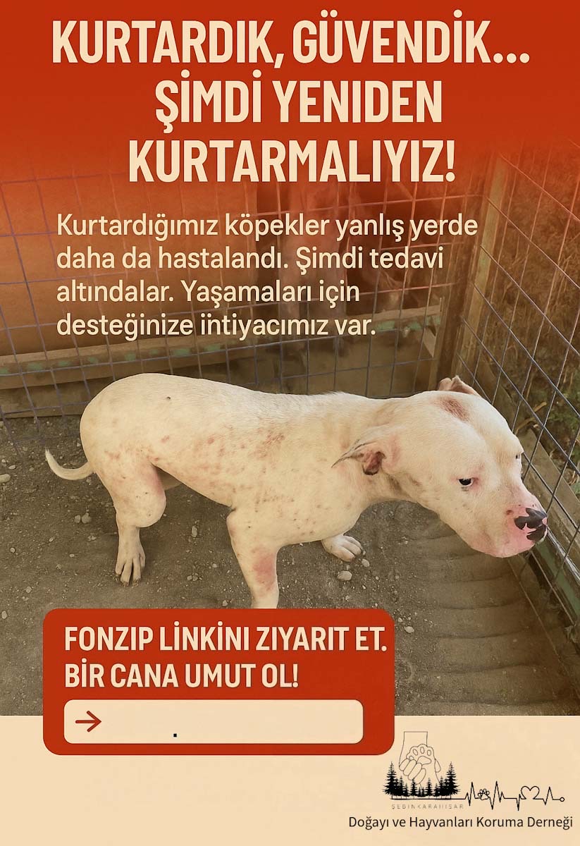 Kurtardık, Güvendik…Şimdi Yeniden Kurtarmalıyız!