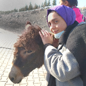 Gençler Adımlarınla Güçlensin, Dünya Değişsin | TOG, Toplum ...