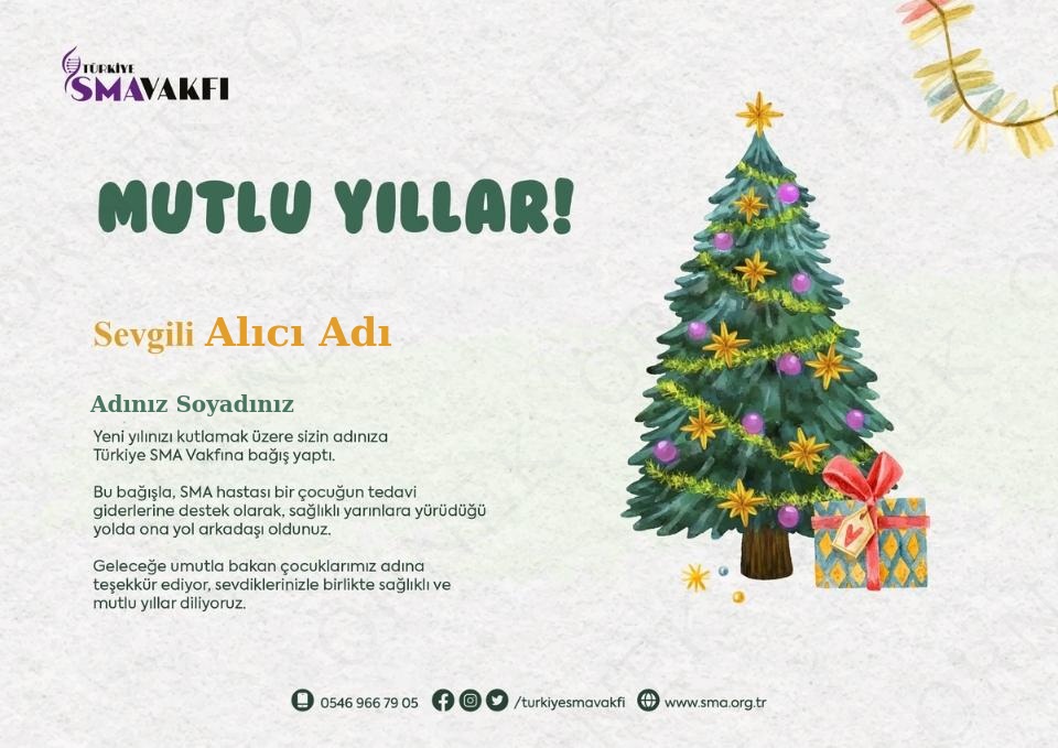 Yeni Yıl Sertifikası - 6