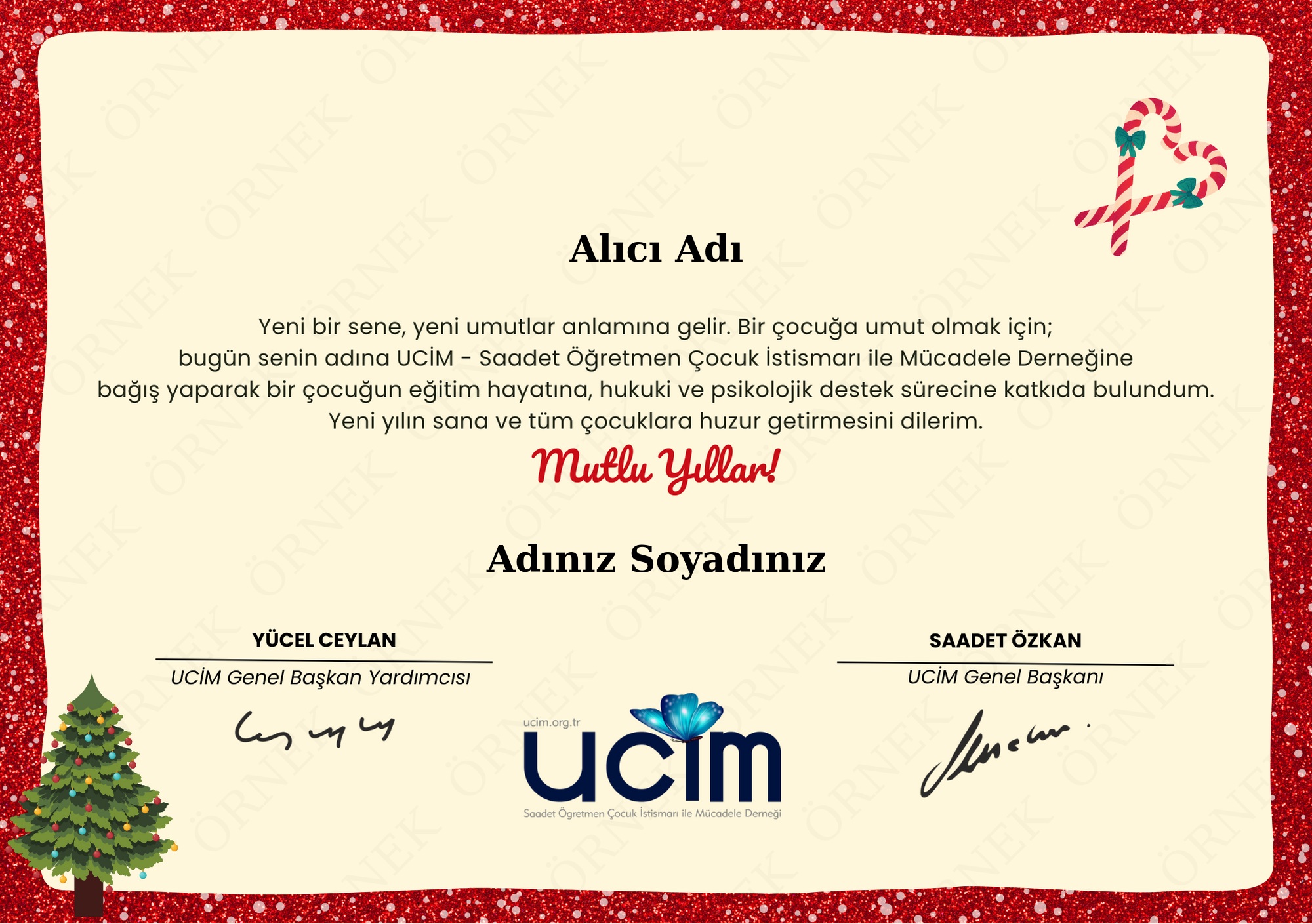 YENİ YIL SERTİFİKASI (SİMLİ-TEKİL)