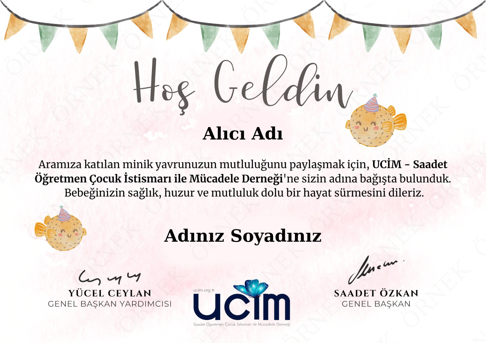 YENİ DOĞAN SERTİFİKASI (TEMA 2-TEKİL)