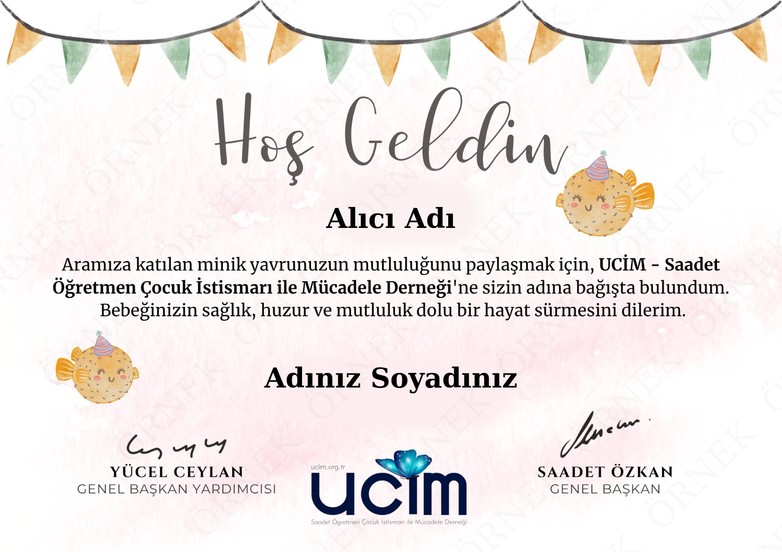 YENİ DOĞAN SERTİFİKASI (TEMA 2-ÇOĞUL)