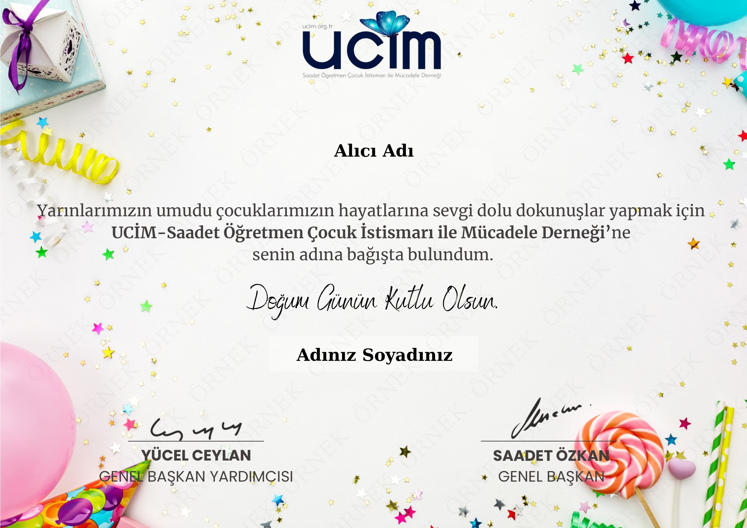 HEDİYE DOĞUM GÜNÜ SERTİFİKASI (TEMA 2-TEKİL)