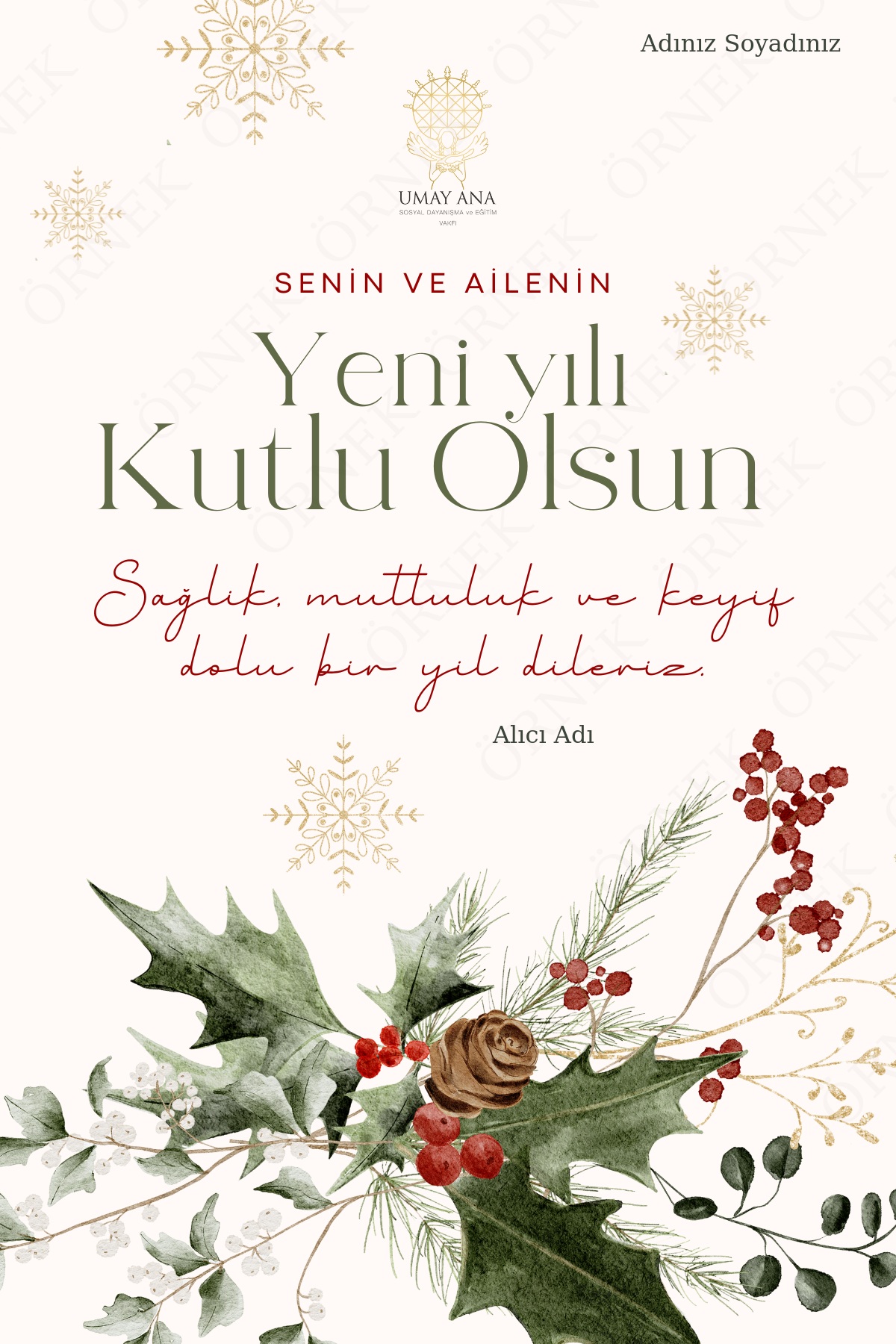 Yeni Yıl 03