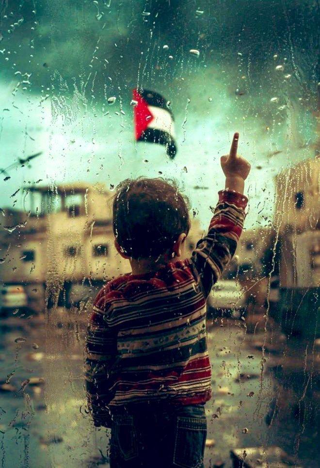 Gazze'ye ekmek, Gazze'ye Umut🌿