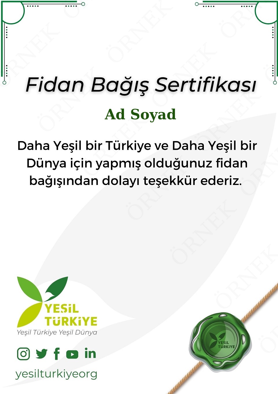 Fidan Bağış Sertifikası - Tek isimli