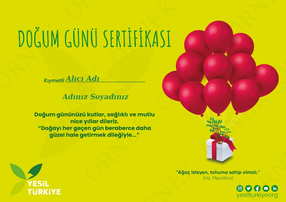 Doğum Günü Hediyesi