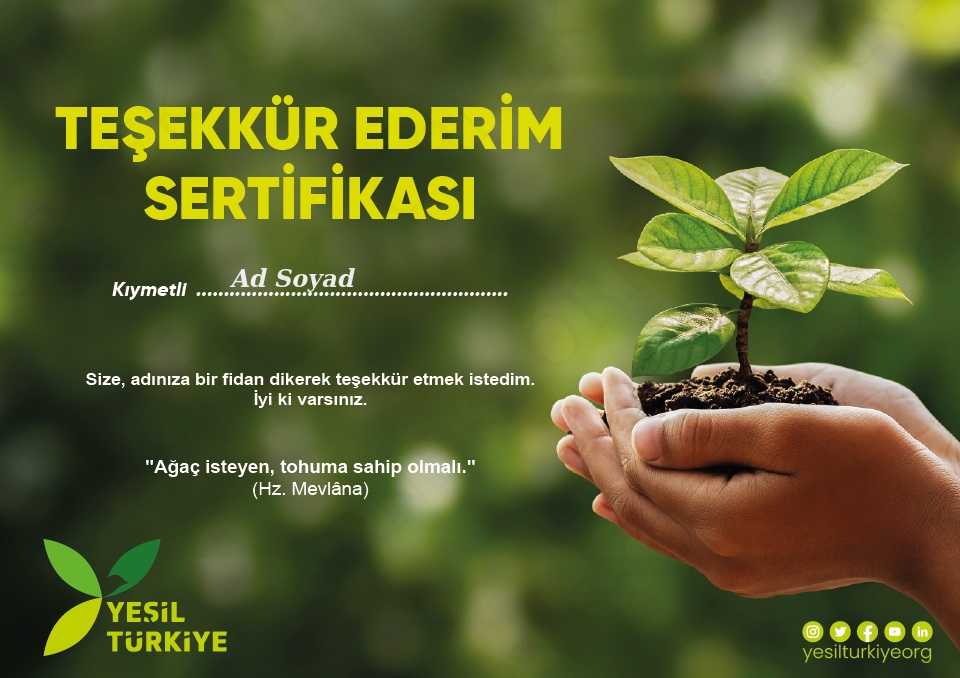 Teşekkür Ederim Sertfikası