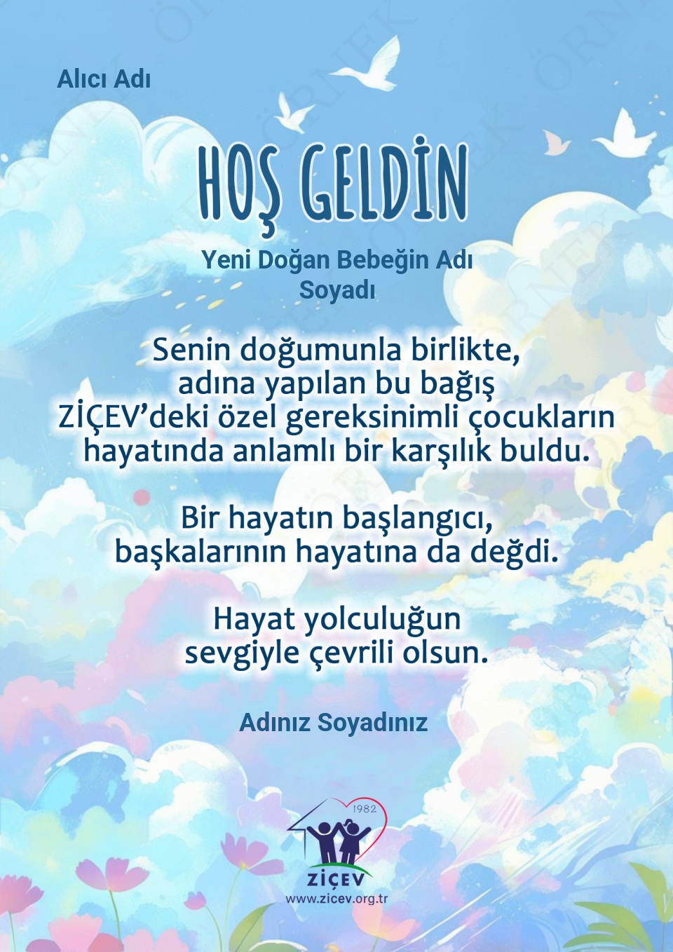 Yeni Doğan Kartı 2