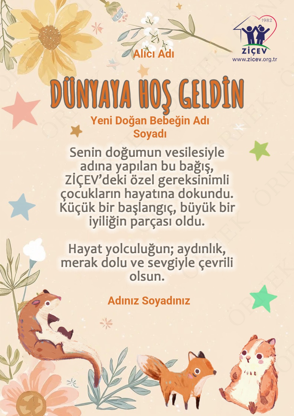 Yeni Doğan Kartı 3